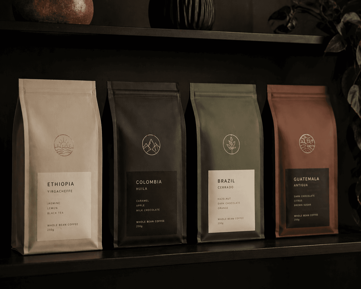 What “Premium Coffee” Actually Looks Like Before It’s Sold to You